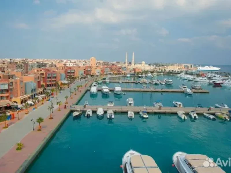 Things to Do by the Red Sea