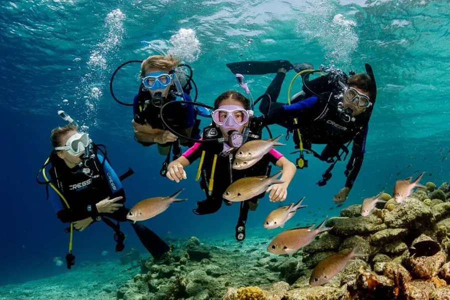 Diving in the Red Sea