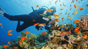 hurghada diving sharm el naga trip booking