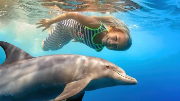 Dolphin House Hurghada booking