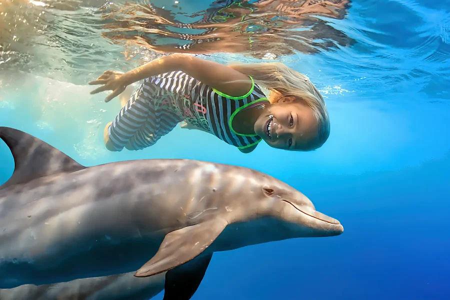Dolphin House Hurghada Tour