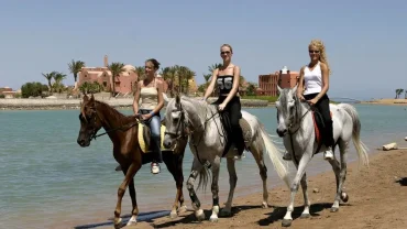 guided horse riding desert hurghada trip