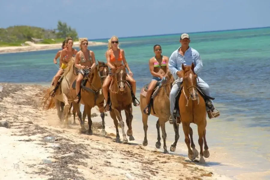 Horse Riding Tour