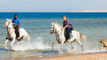 Sunset Horse Riding Hurghada