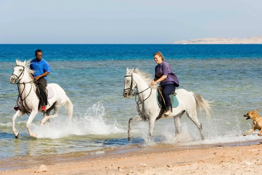 Horse Riding Tour