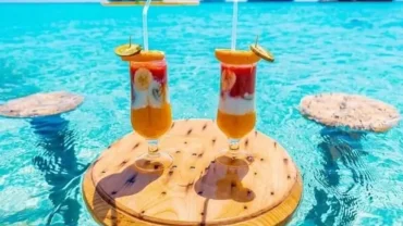 Paradise Island trip with lunch