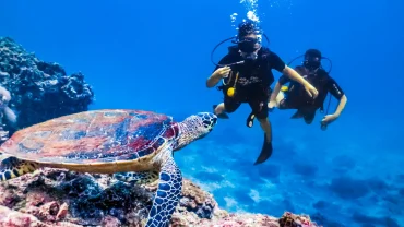 Things to Do by the Red Sea