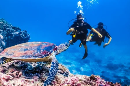 Things to Do by the Red Sea