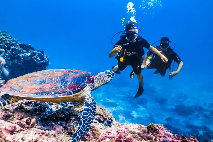 Things to Do by the Red Sea