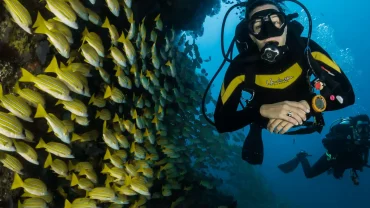 Red Sea Diving and Snorkeling