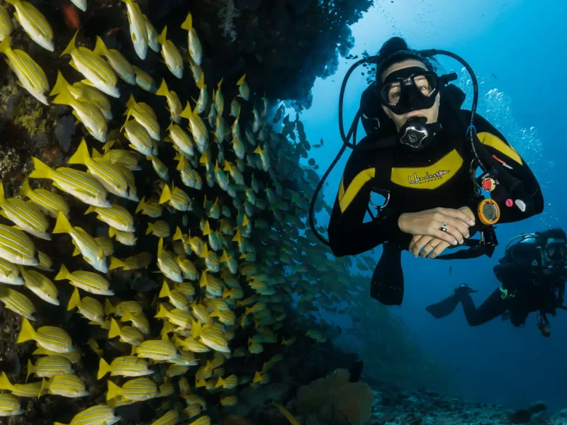 Master the water with these essential snorkeling tips for beginners—safety, gear, and confidence all in one guide.