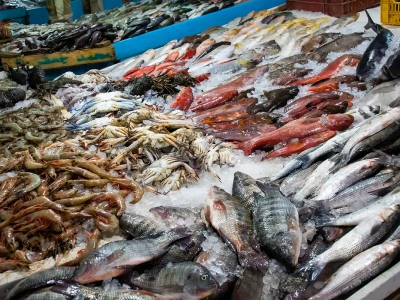 fishing village