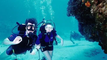 see Red Sea fish without diving
