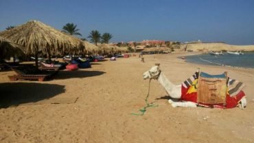 private snorkeling sharm el naga tour