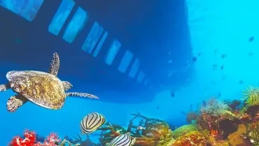 Sea scope semi submarine Hurghada
