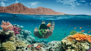advanced diving hurghada red sea reefs