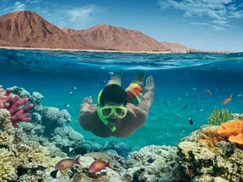 advanced diving hurghada red sea reefs