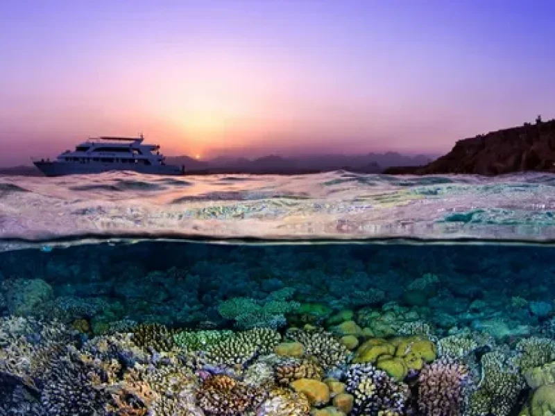 advanced diving hurghada red sea reefs