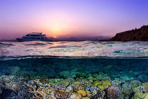 Mahmya beach Red Sea