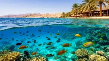 Hurghada Private Beach Day