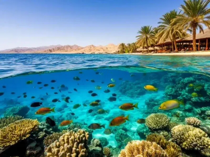 Underwater Diving Hurghada Marine Life