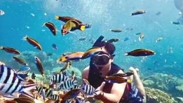 Best Coral Reef Viewing Boat Hurghada