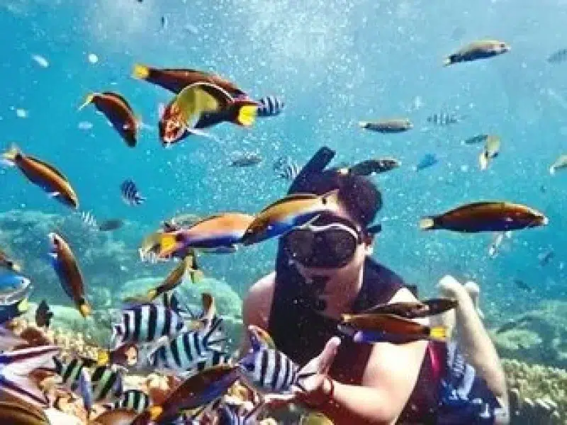 Best Coral Reef Viewing Boat Hurghada
