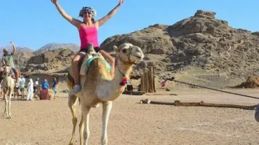 desert entertainment safari hurghada booking