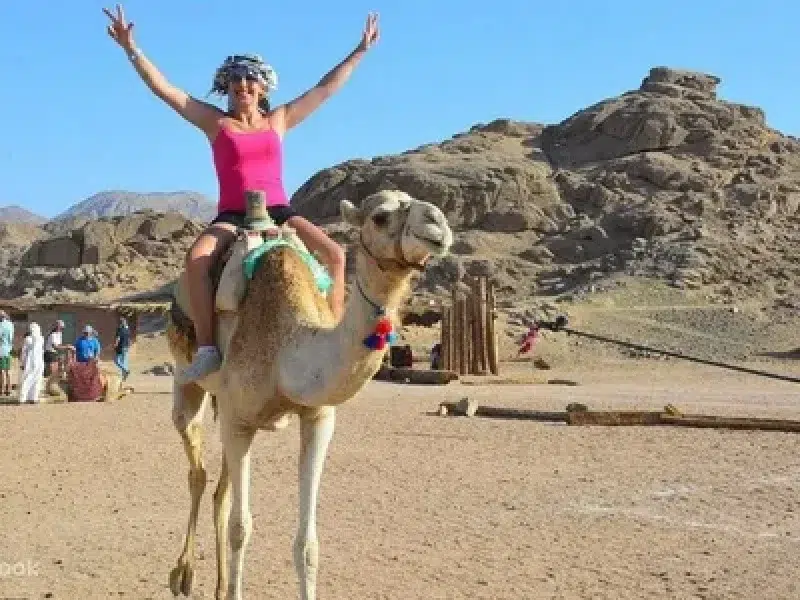 Best Desert Safari Hurghada Quad Camel Show