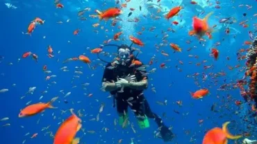 Best Scuba Diving Hurghada Beginners Booking