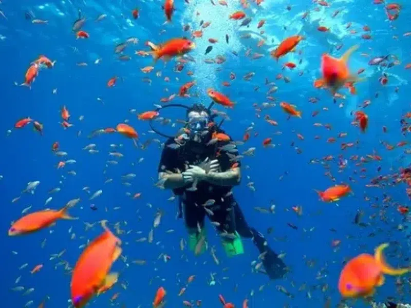 Best Scuba Diving Hurghada Beginners Booking