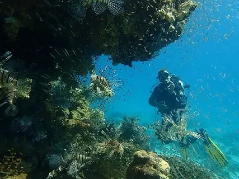 Best Scuba Diving Hurghada Beginners Booking