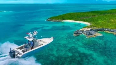 Boat trips to paradise island