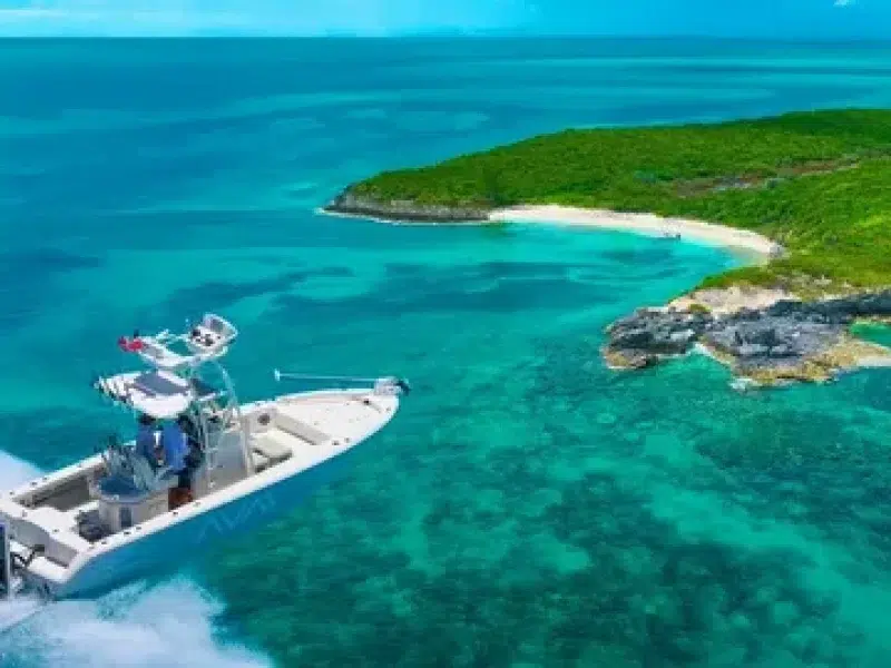 Boat trips to paradise island