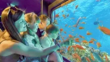 Book Sea Scope Hurghada Glass Boat Trip