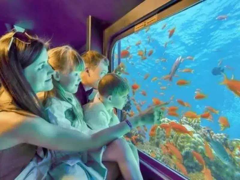 Book Sea Scope Hurghada Glass Boat Trip