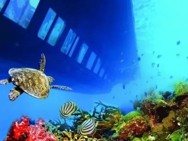 Book Sea Scope Hurghada Glass Boat Trip