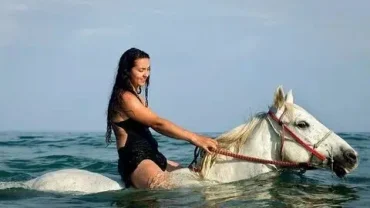 hurghada equestrian beach ride booking