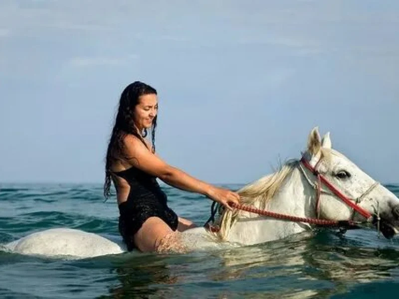 hurghada equestrian beach ride booking