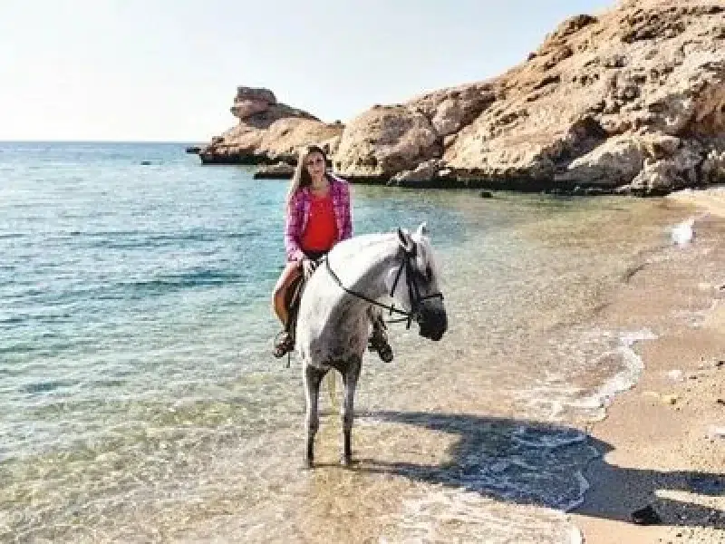 Cheap Horse Riding Hurghada Tour Booking