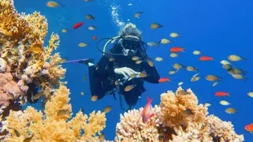 Red Sea Diving and Snorkeling