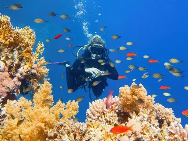 Family Diving Experience Hurghada Booking