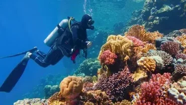 Family Diving Experience Hurghada Booking