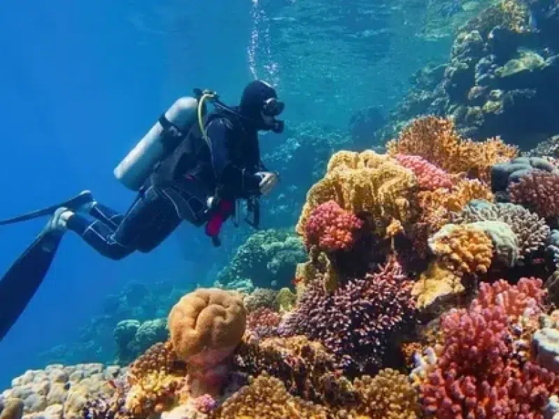 Family Diving Experience Hurghada Booking