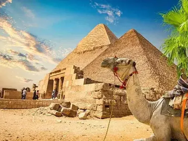 budget cairo trip hurghada coach tour