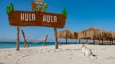 cheap hula hula island hurghada deal