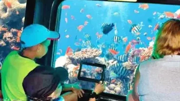 Hurghada Sea Excursions