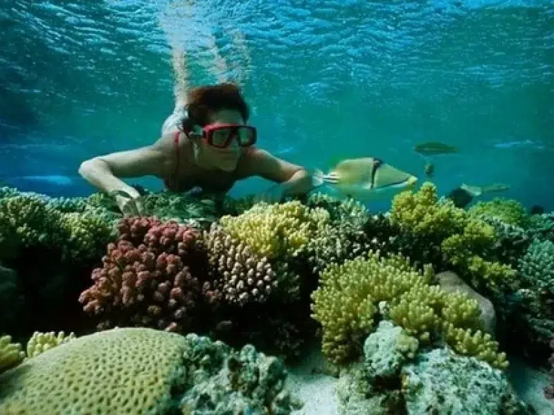 Hurghada Sea Excursions