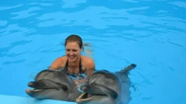 Dolphin house Hurghada tour