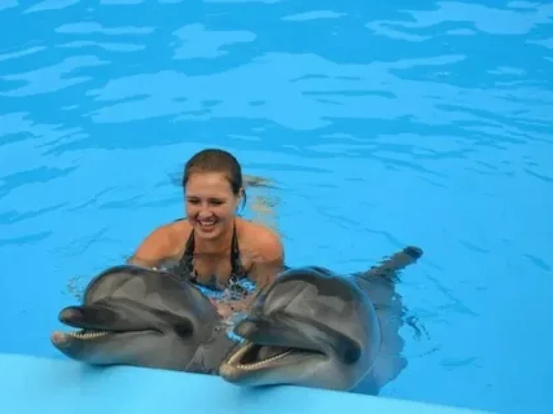 Luxury Dolphin House Boat Hurghada Tour